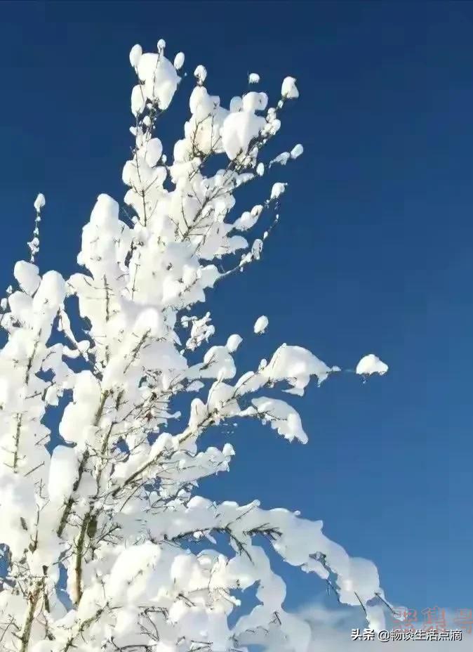 天气预报:2022年春节冷吗?大雪时节能预兆!看看谚语怎么讲