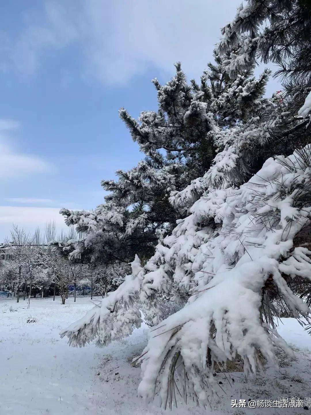 天气预报:2022年春节冷吗?大雪时节能预兆!看看谚语怎么讲