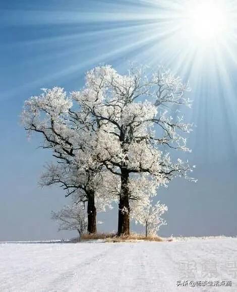 时值大雪时节,天气暖和好不好?啥预兆?看看老祖宗的谚语怎么说