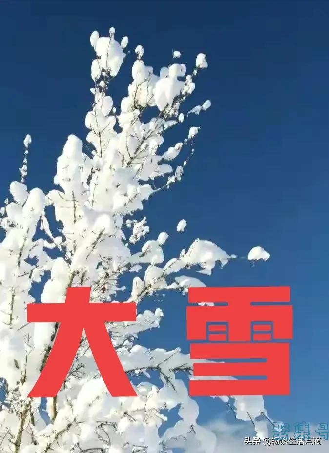 大雪节气下雨好还是天晴好(大雪节气下雪好还是不下雪好)