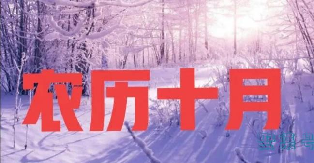 十月下雪有什么预兆(农历十月下雪)