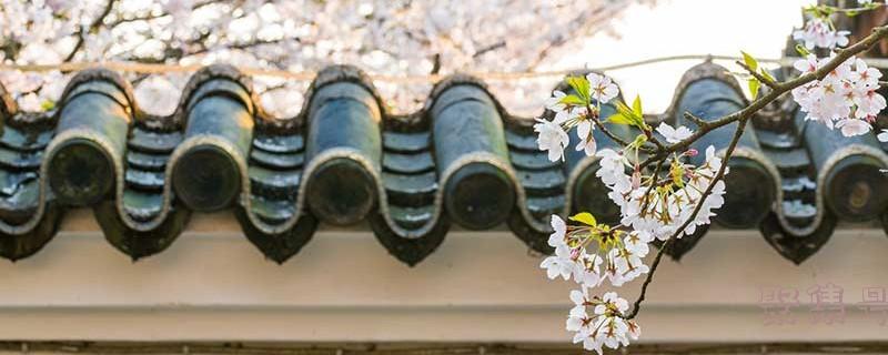 七巧板图形组成的图案(七巧板图形组成的图案简笔画)