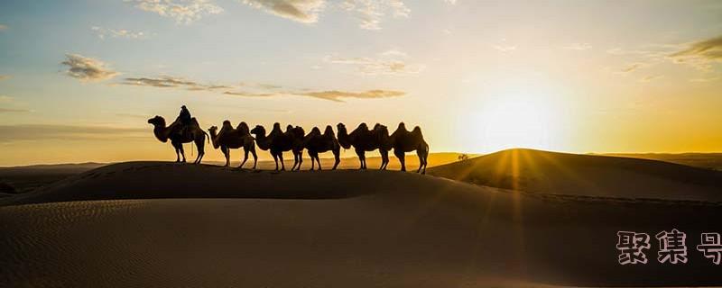 测可以组什么词(域名组测)