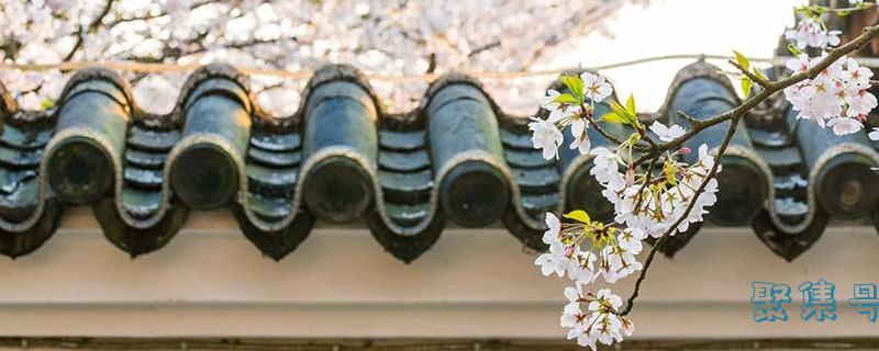 葱的气味是什么(葱花是什么味道)