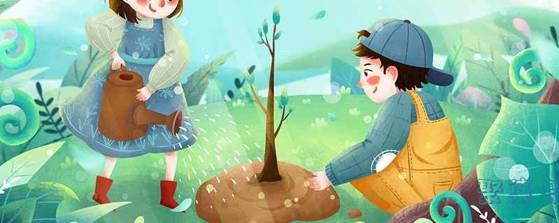 哪些青菜是温性的(梦见青菜是什么预兆)