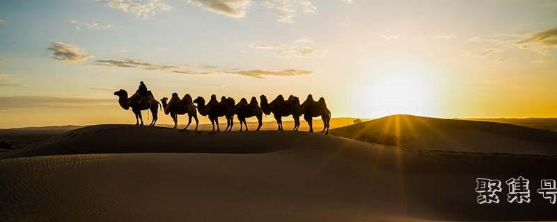 维生素a的食物来源(维生素a来源于)