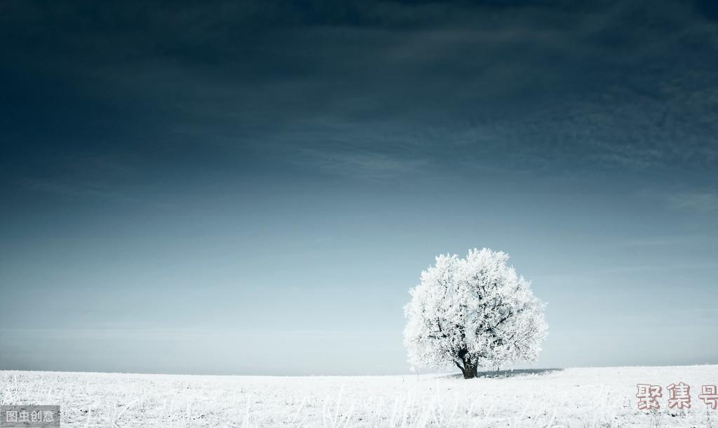 小熊乒乓球赛(小熊猫和小猴子打乒乓球)
