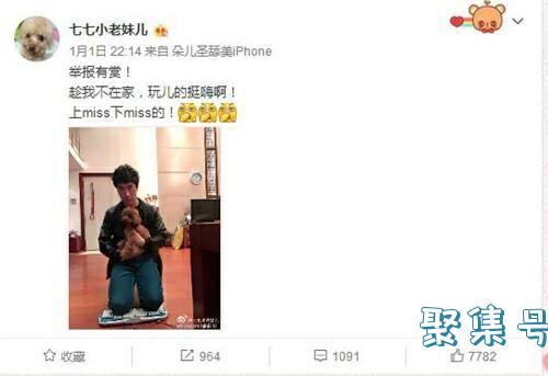 七哥寒心离家出走,老骚竟还沉迷吃鸡!网友:七哥回家你跪键盘把