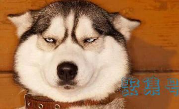 限韩令的起因和会带来的后果你了解多少?