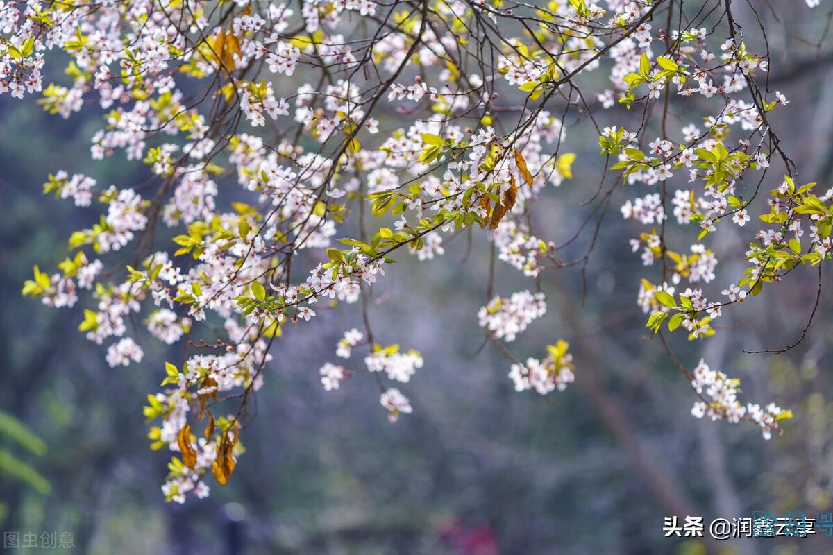 2021年,10大网络热词,都是什么梗