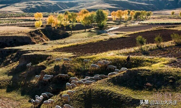 “雁门关外野人家,不养桑蚕不种麻”,一首鲜为人知的步韵诗