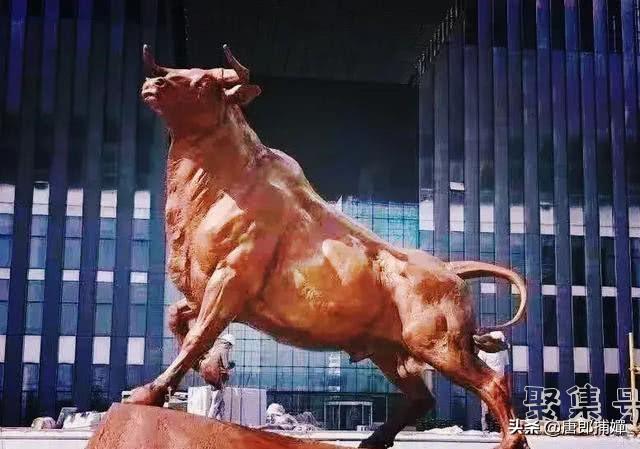  ipo项目是什么意思呢(公司ipo是什么意思呢)