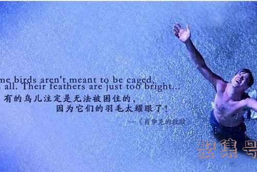 美国经典励志电影排名前十(励志欧美电影排行榜前十名)