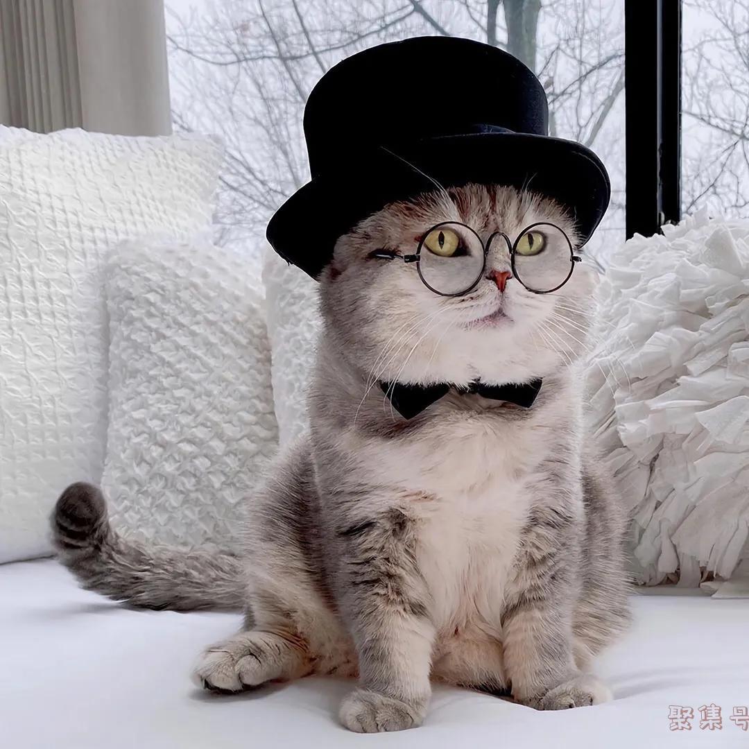 如何俘获女孩子芳心