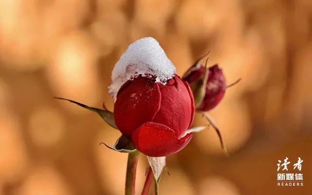 这些句子送给孤独的你,愿你始终拥有愿望、梦想和爱