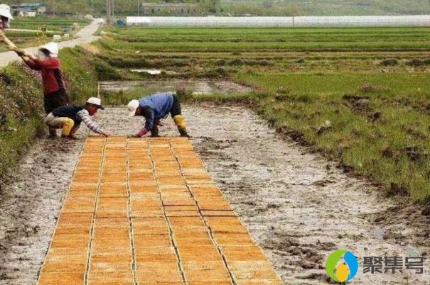 一公顷等于多少平方米,一公顷等于多少平方米等于1000平方米