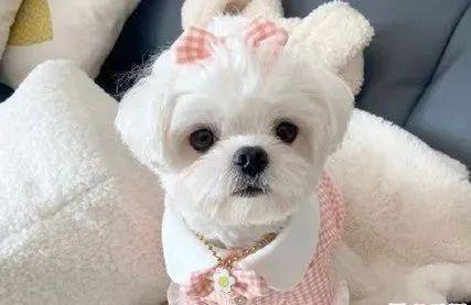  能把人笑死的网名女生,能把人笑死的网名吃鸡