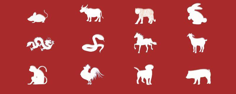 指引方向的生肖(指东指南什么动物)