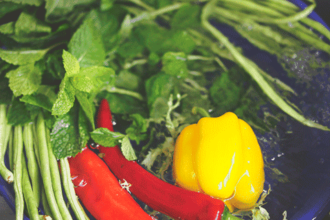 为什么冬天会比别人更怕冷(冬天特别怕冷的人怎么过)