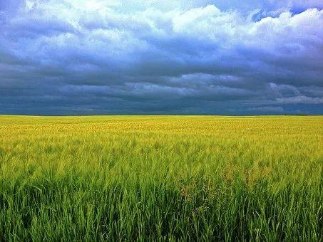 初中物理方法有哪些(常用的物理研究方法有哪些)