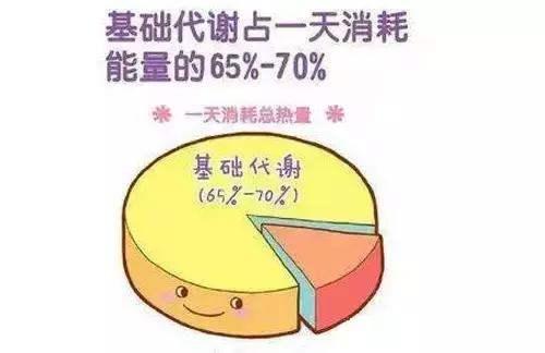 基础代谢率计算公式（基础代谢率怎么计算）