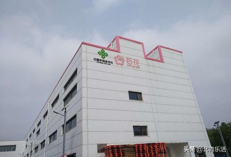 百花牌蜂王浆(百花牌蜂王浆质量怎么样)