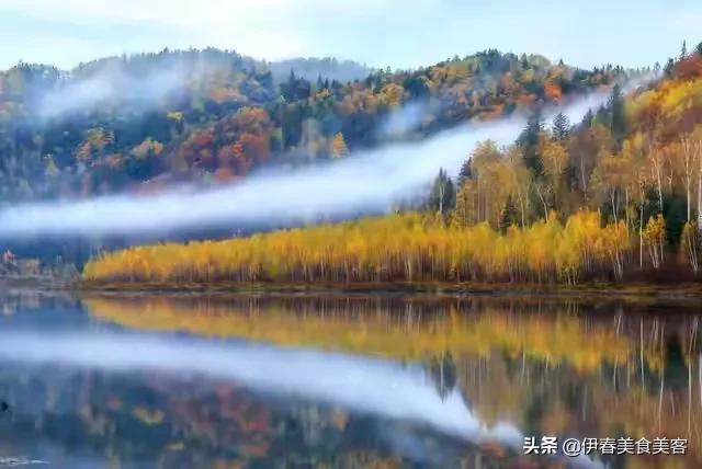 金鸡鞋油是哪里生产的(金鸡鞋油为什么是庄臣的)