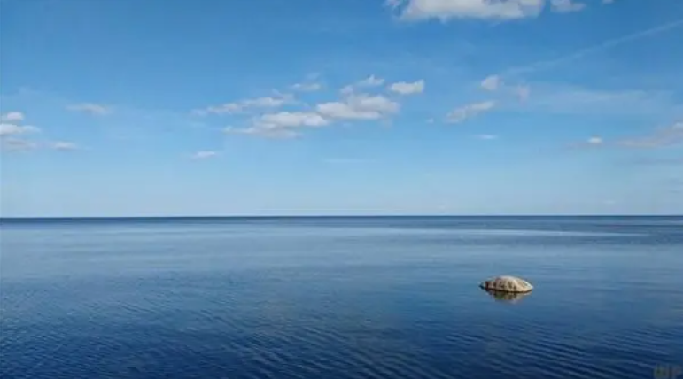 人老了才知道,体面的生活,需要学会“占便宜”