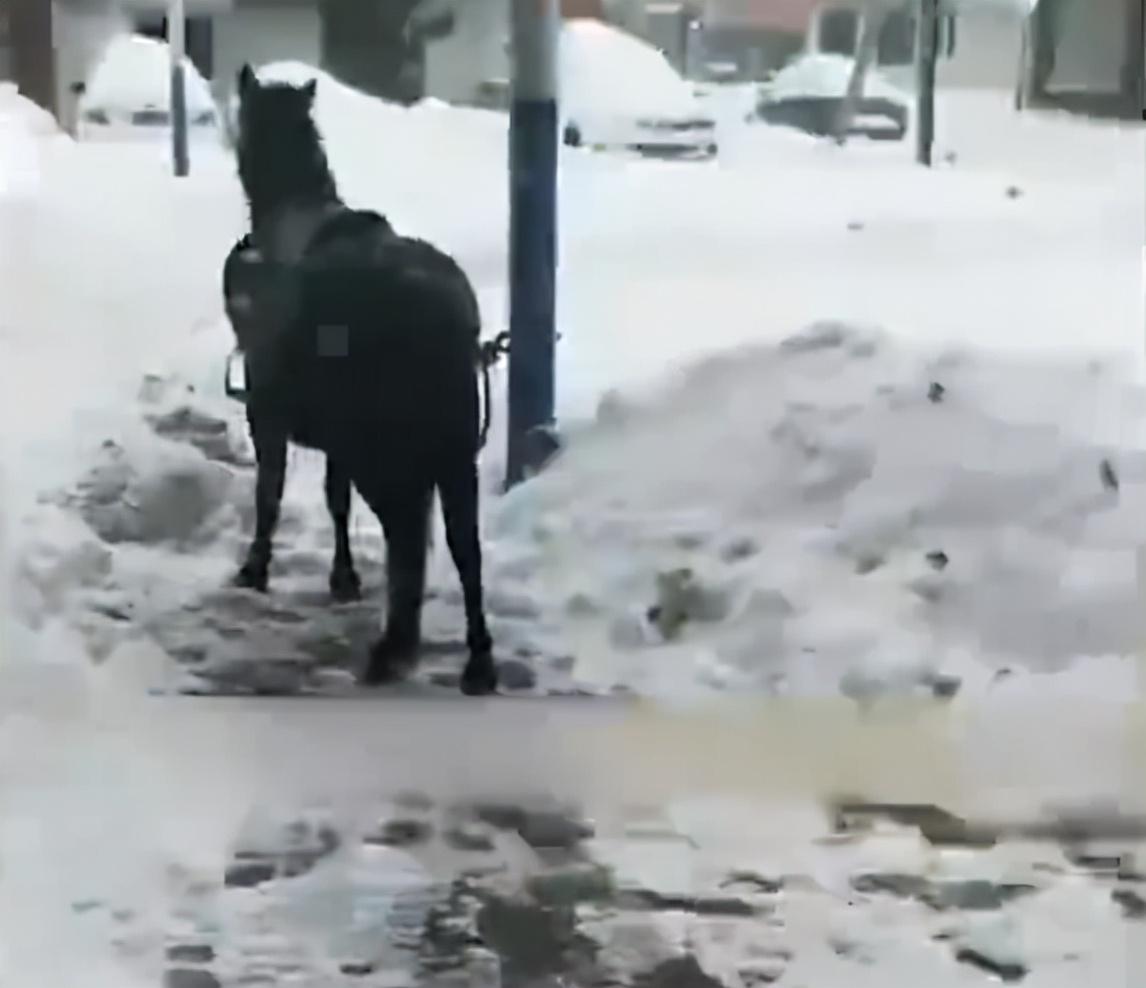 吃米线 暴雪天小男孩骑马去吃米线