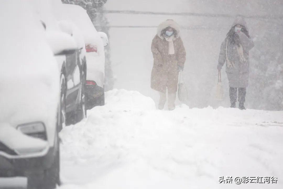 雪,一片一片一片一片