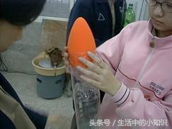 水火箭的制作方法(水火箭制作方法图解越简单越好)