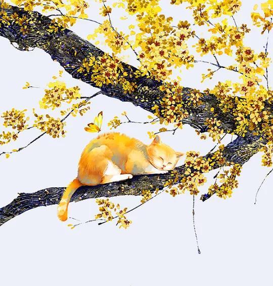 2022年新年献词,一切未知皆为好景