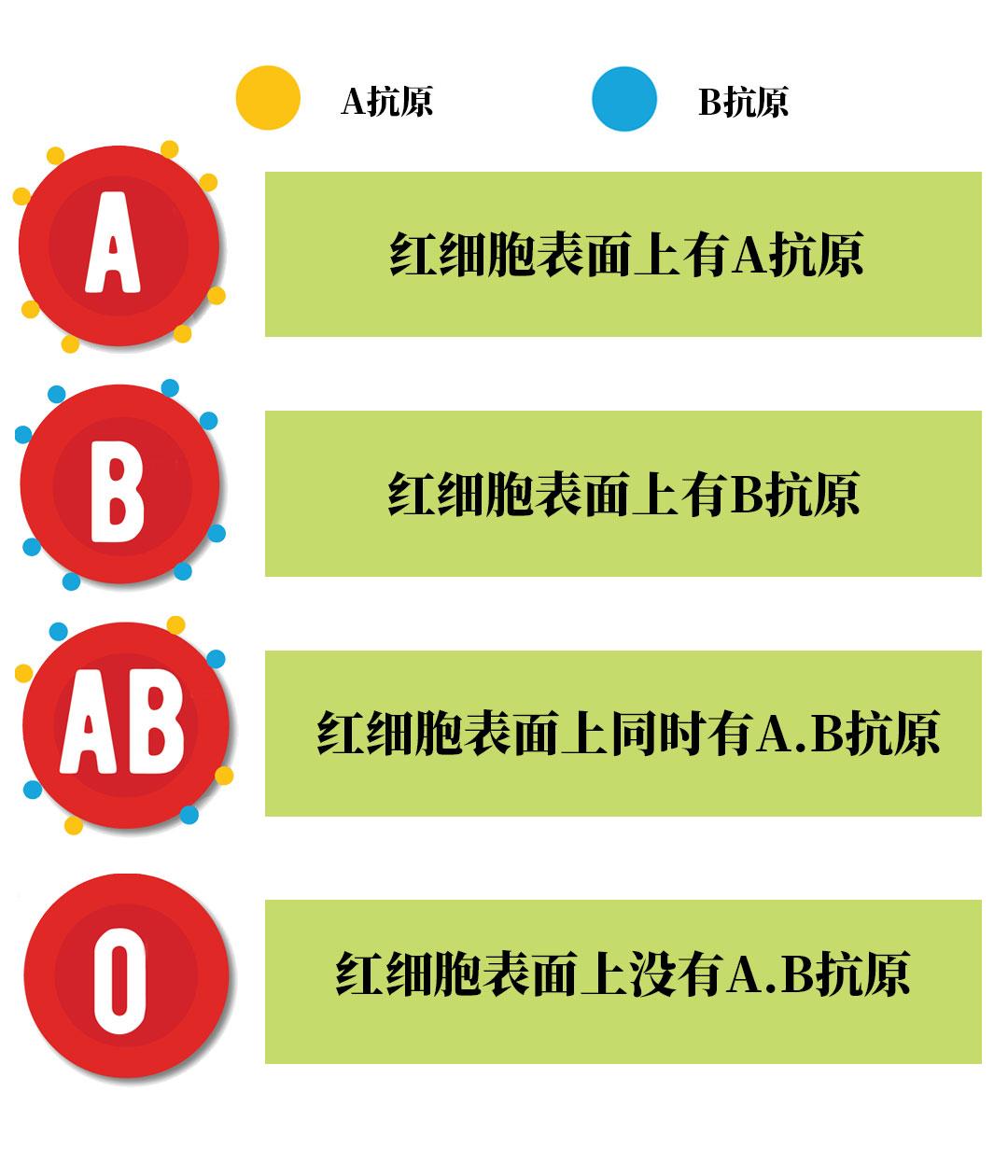 ABO血型,Rh血型?它们有什么区别?对我们重要吗?