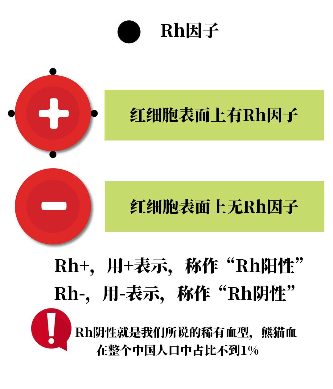 ABO血型,Rh血型?它们有什么区别?对我们重要吗?