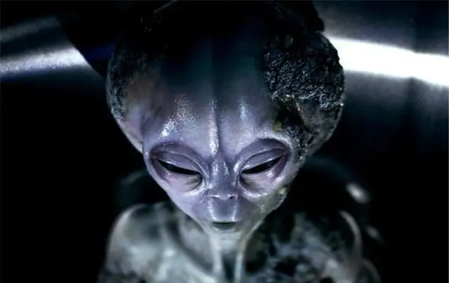 外星生物创造论,为什么是600万年前,当时到底发生了什么?