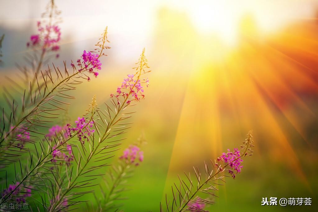 江阴方言90%是华夏汉族的语言正音-雅言