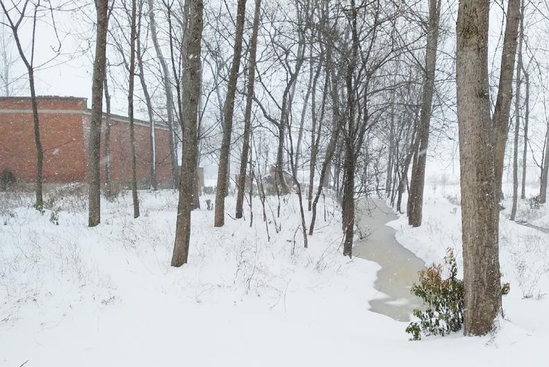 三九严寒到!今年三九始于哪天?是全年最冷吗?看看大数据就知道