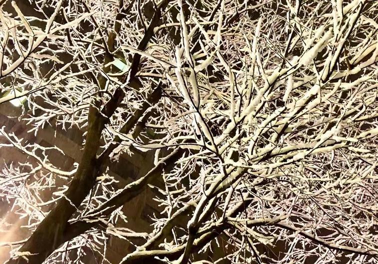 三九严寒到!今年三九始于哪天?是全年最冷吗?看看大数据就知道