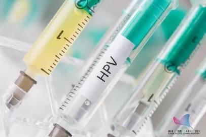 预防宫颈癌,必须接种九价HPV疫苗?不必过度执着
