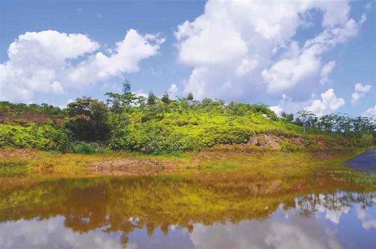 琼是哪个省的简称(琼C是哪个省的简称是什么)