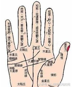 无名指是哪个手指(无名指是哪个手指戴戒指)