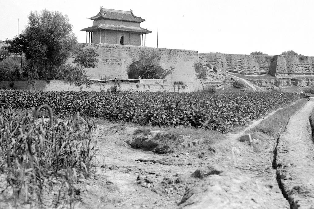 定州市属于哪个市(河北省定州市属于哪个市)