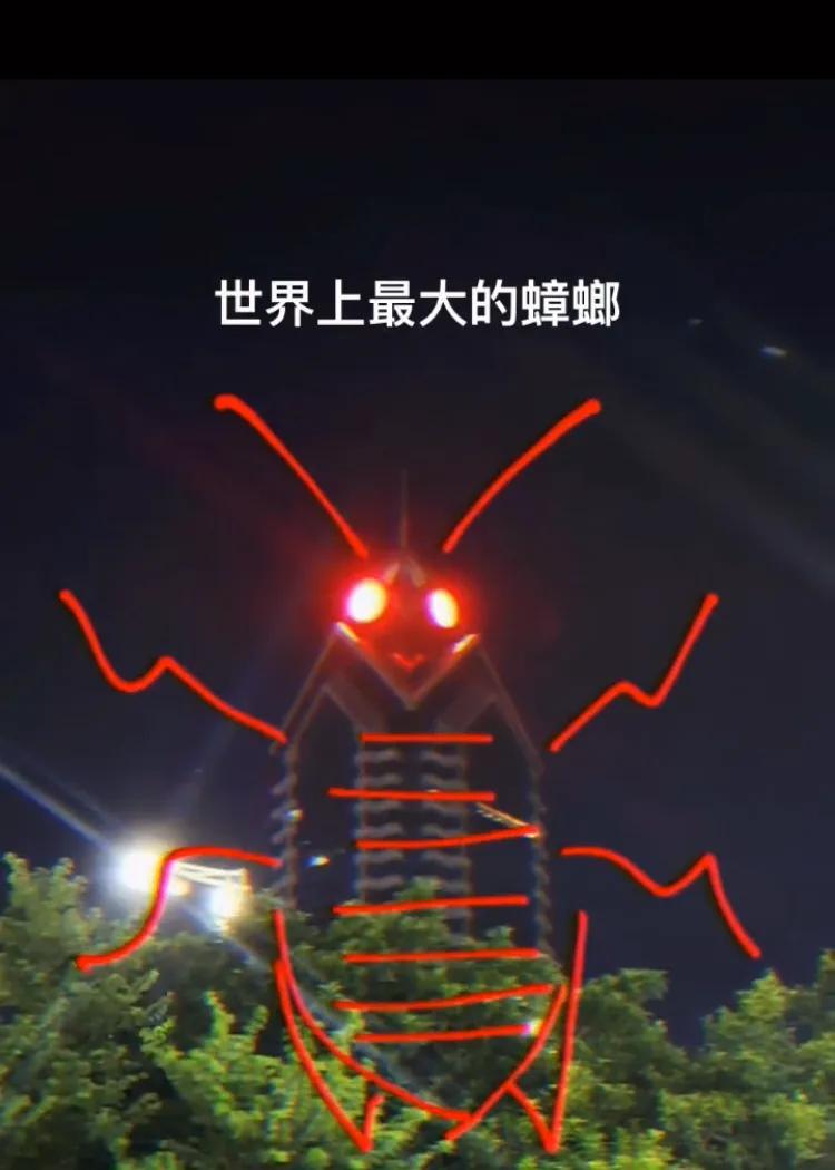 广州一大厦“两眼发光”似蟑螂(广州最大的蟑螂)