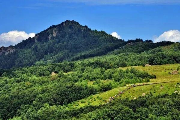 北京百花山风景区在哪里(百花山自然风景区住宿)