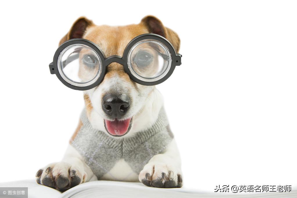 总结用英语怎么说(年终工作总结用英语怎么说)