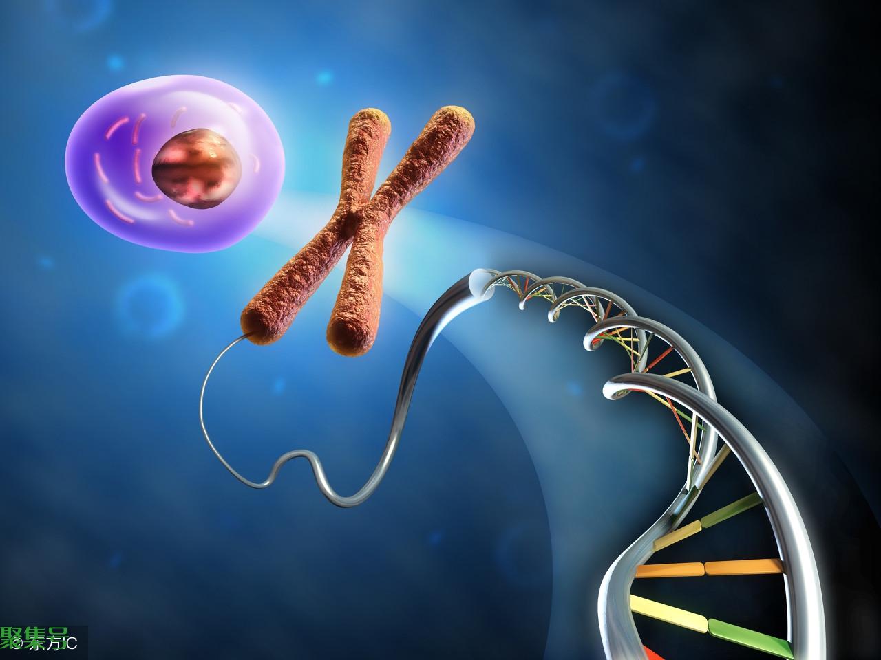 NT值的正常范围是多少呢?NT值偏高是什么原因导致的?