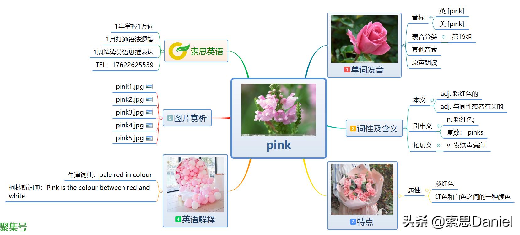 pinko怎么读(pinko怎么读中文)