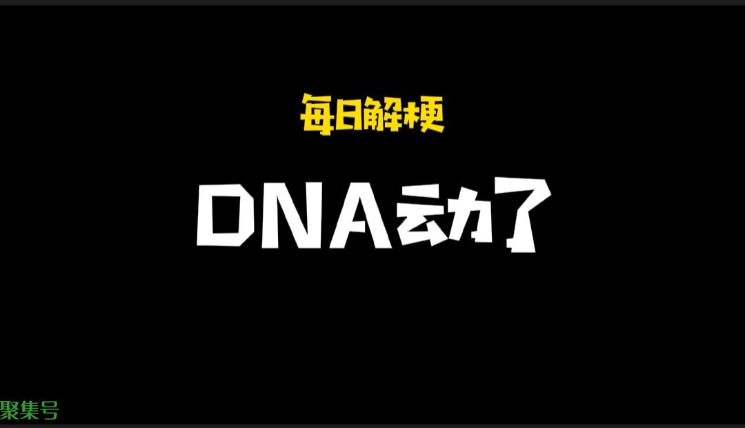 dna动了(我的dna动了)