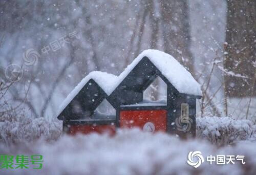虎年以来最大规模雨雪即将上线 波及20余省区市局地大暴雪