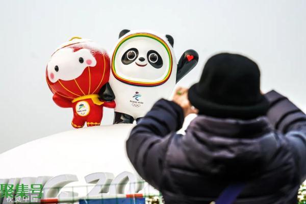 新晋“顶流”,令人上头